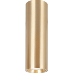 GENESIS SPOT GOLD 1xGU10 20cm