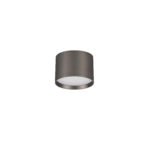 Ziaza LED-Deckenleuchte 17W, IP20, Black Nickel, 3000K